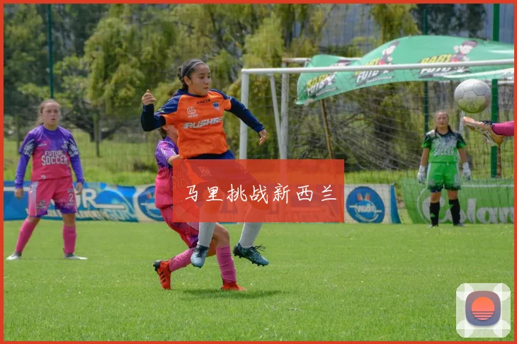 马里挑战新西兰