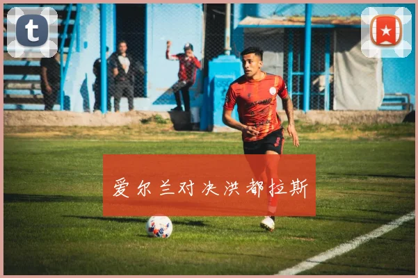 爱尔兰对决洪都拉斯