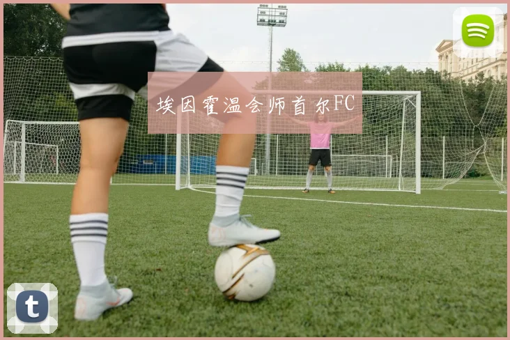 埃因霍温会师首尔FC