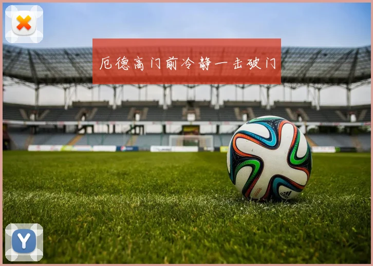 厄德高门前冷静一击破门