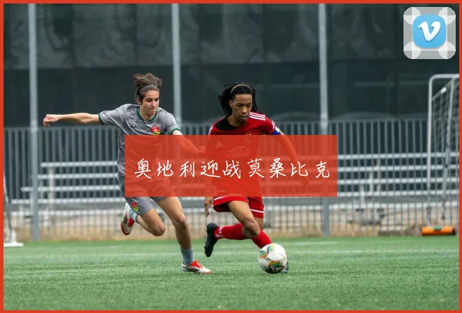 奥地利迎战莫桑比克