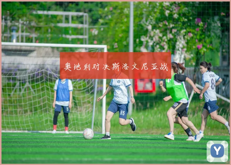 奥地利对决斯洛文尼亚战