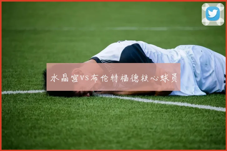 水晶宫vs布伦特福德核心球员