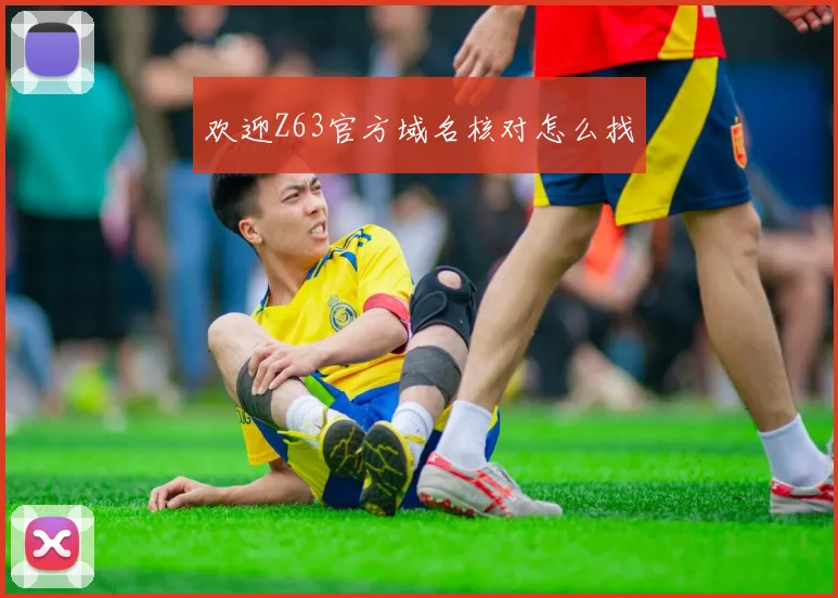 欢迎Z63官方域名核对怎么找