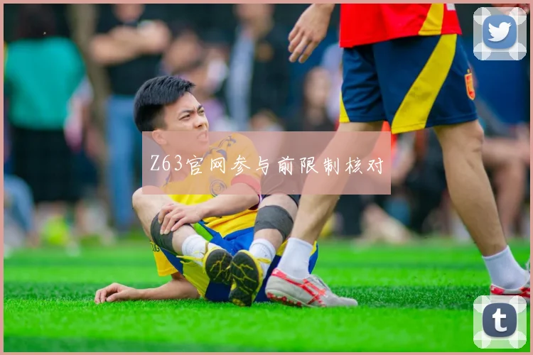Z63官网参与前限制核对